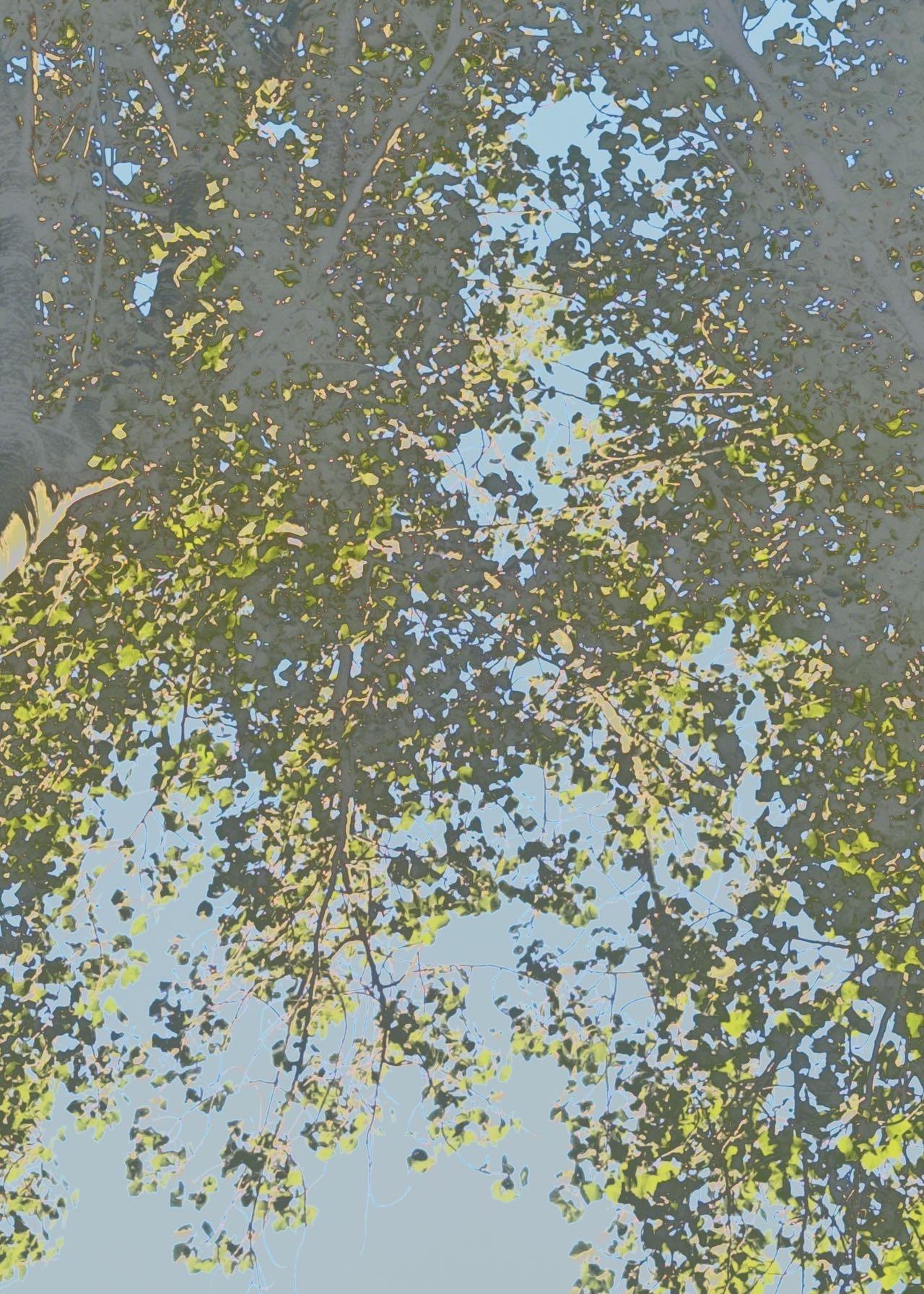 难道我受不起这个热吻?